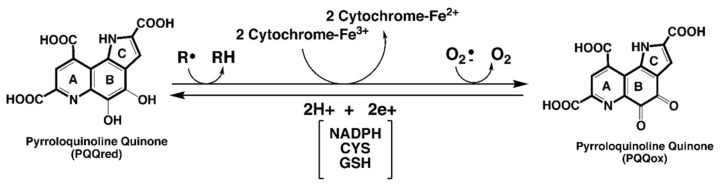 包含圖片、插圖等的外部文件。
對象名稱為 biomolecules-11-01441-g001.jpg